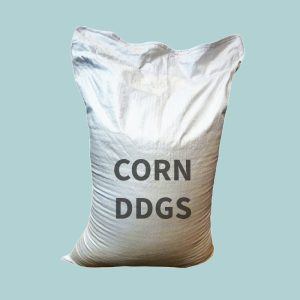 CORN DDGS