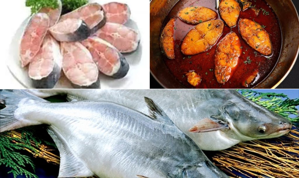 পাঙ্গাস মাছ