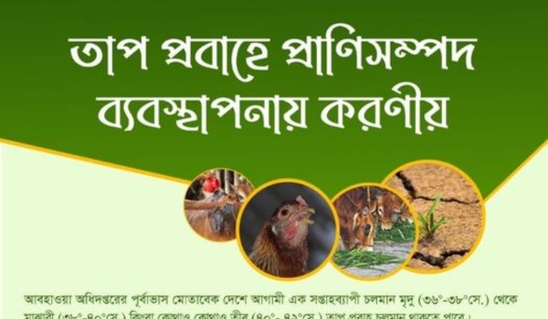 প্রাণিসম্পদ ব্যবস্থাপনায় করণীয়