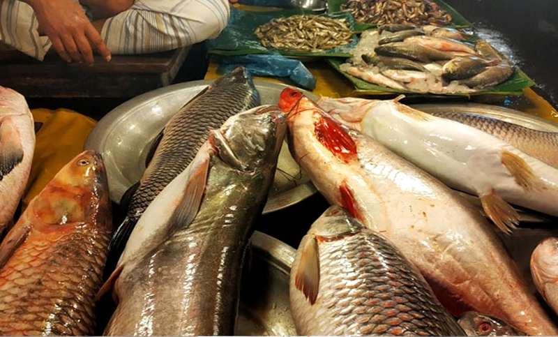 মাছের বাজার গরম