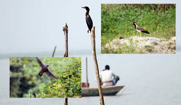 মেঘনা নদীর চর