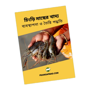 Shrimp feed চিংড়ি খাদ্য Ebook