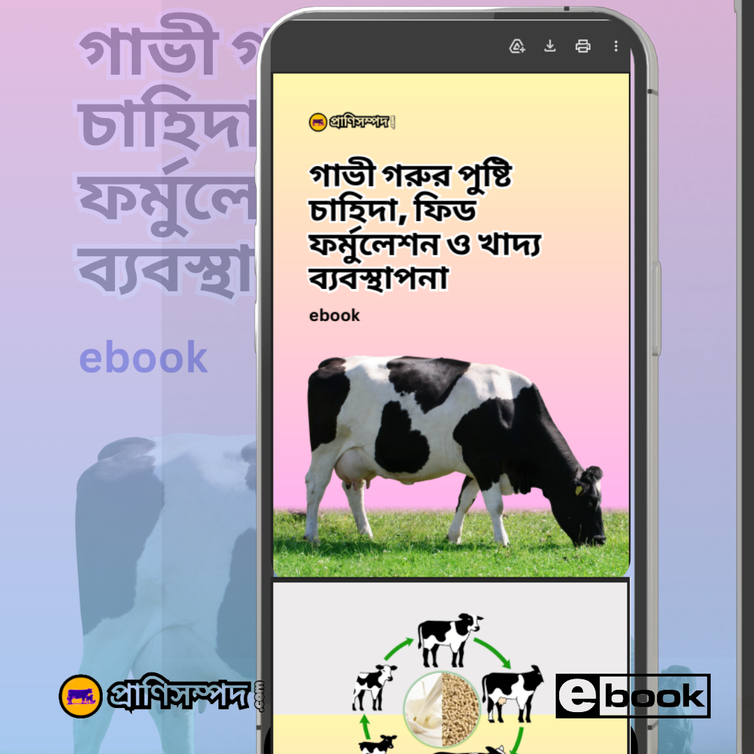 গাভীর পুষ্টির মৌলিক ধারণা pdf