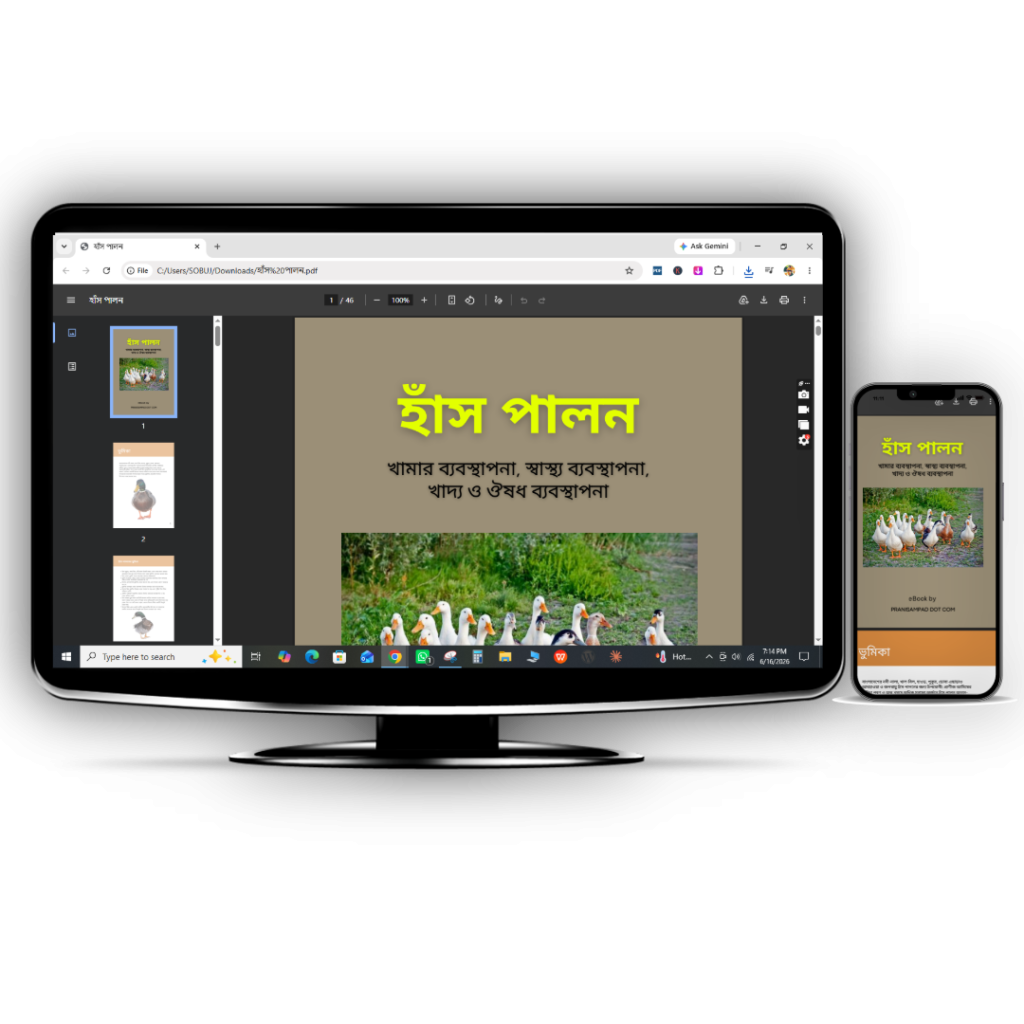 হাঁস পালন পদ্ধতি