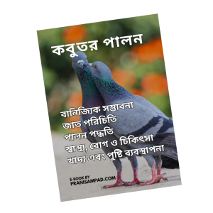 কবুতর পালন বই PDF