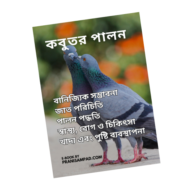 কবুতর পালন বই PDF