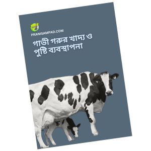 গাভী গরু পালন বই pdf