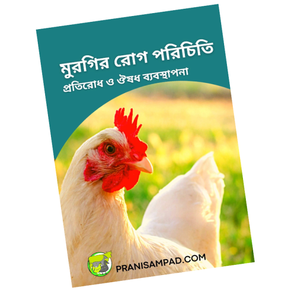 মুরগির রোগ পরিচিতি pdf