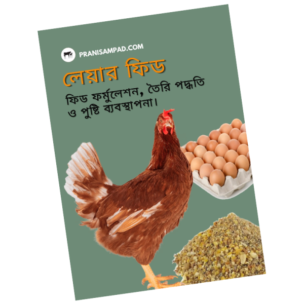 লেয়ার ফিড বই pdf