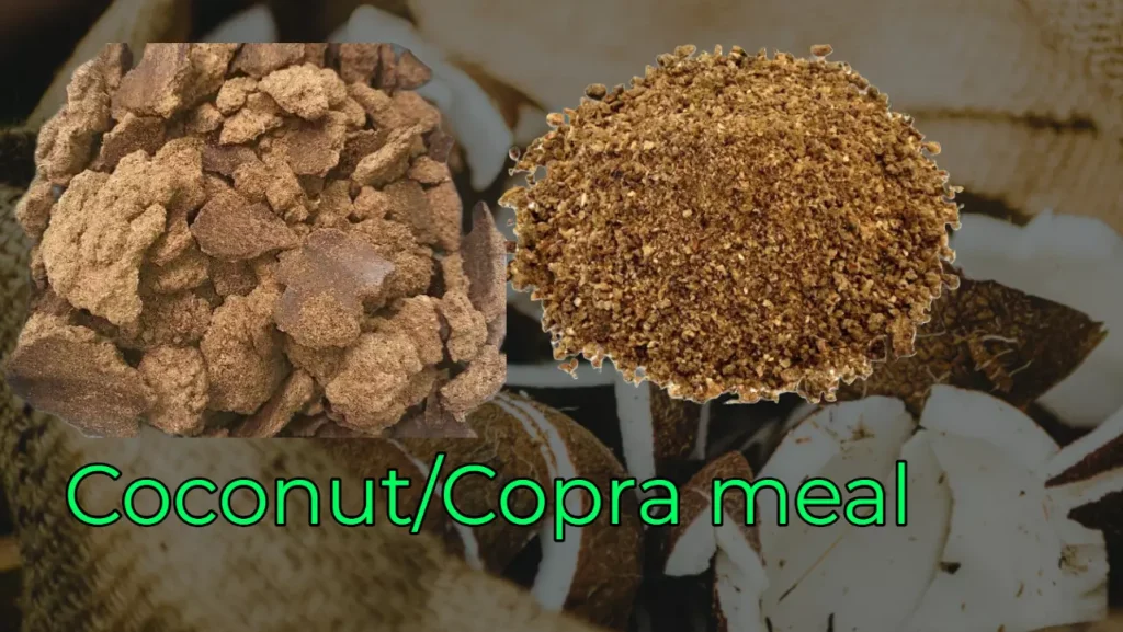 CoconutCopra meal