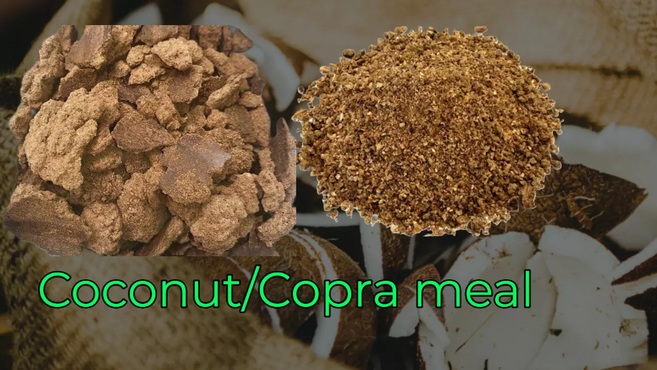 Nutrition of Coconut/Copra meal