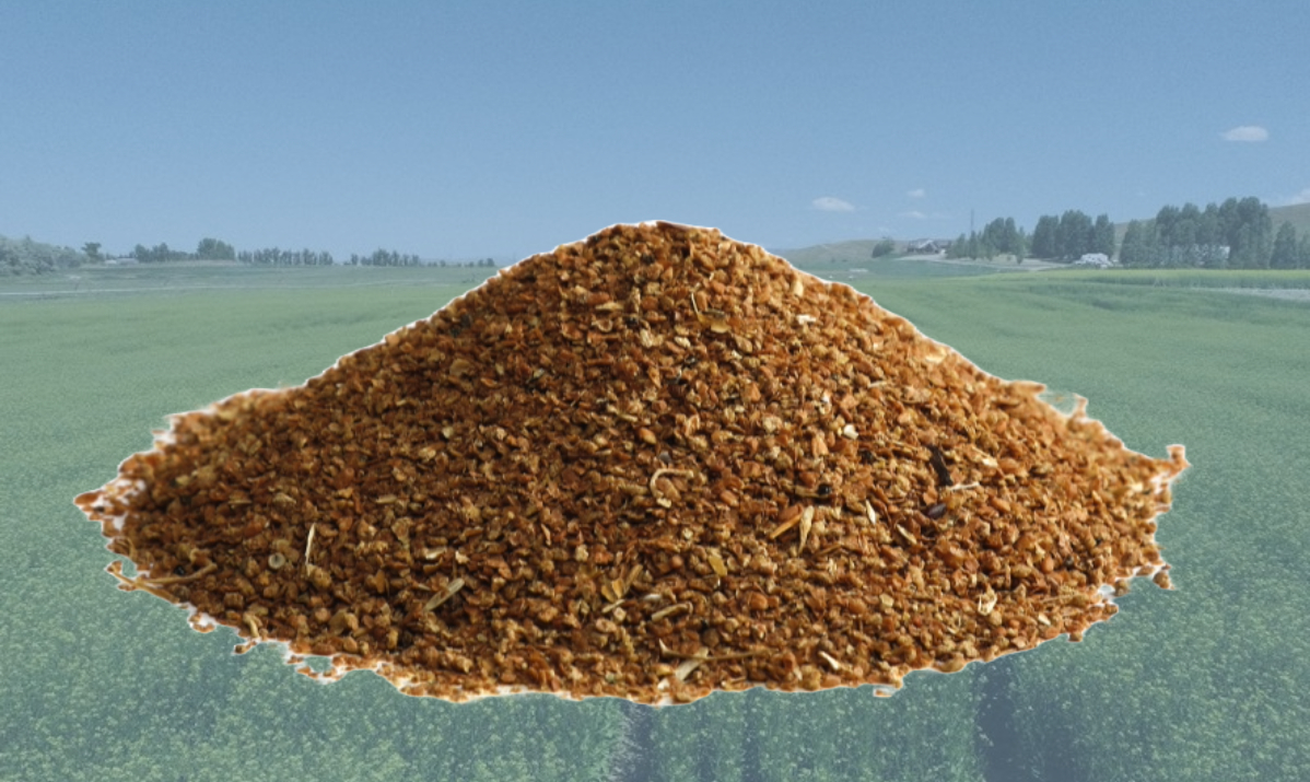 Camelina oil meal for animal feeds
