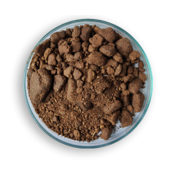 TEER RAPESEED MEAL