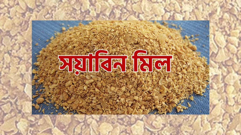 সয়াবিন মিল