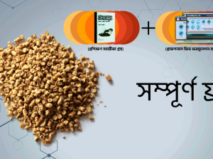 ফিড তৈরি প্রযুক্তি