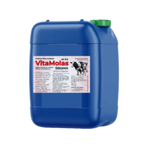 চিটাগুড় (Molasses)