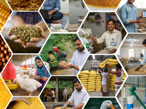 পুষ্টি ব্যবস্থাপনা ও ফিড তৈরি প্রযুক্তি (ক্যাটল, পোল্ট্রি ও ফিস ফিড).png