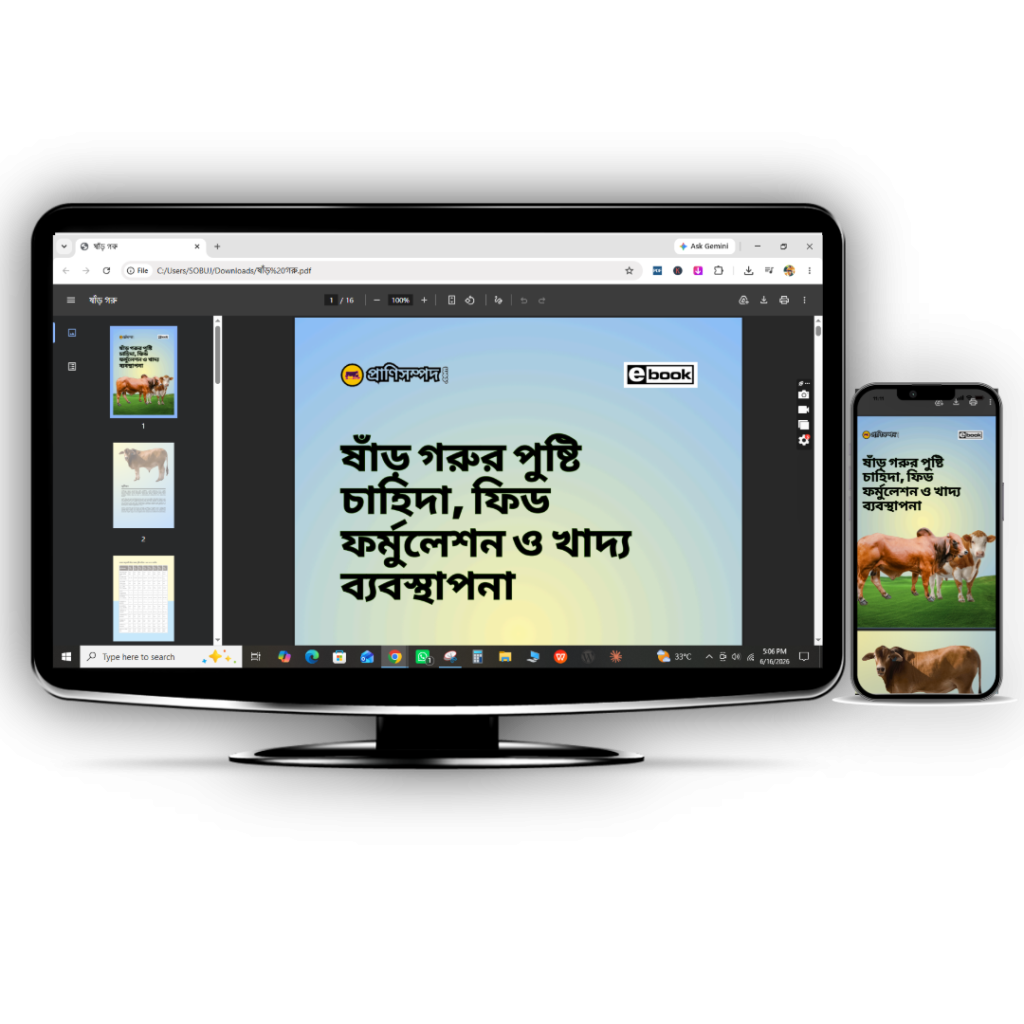 ষাঁড় গরুর পুষ্টি চাহিদা, ফিড ফর্মুলেশন ও খাদ্য ব্যবস্থাপনা (E-book)