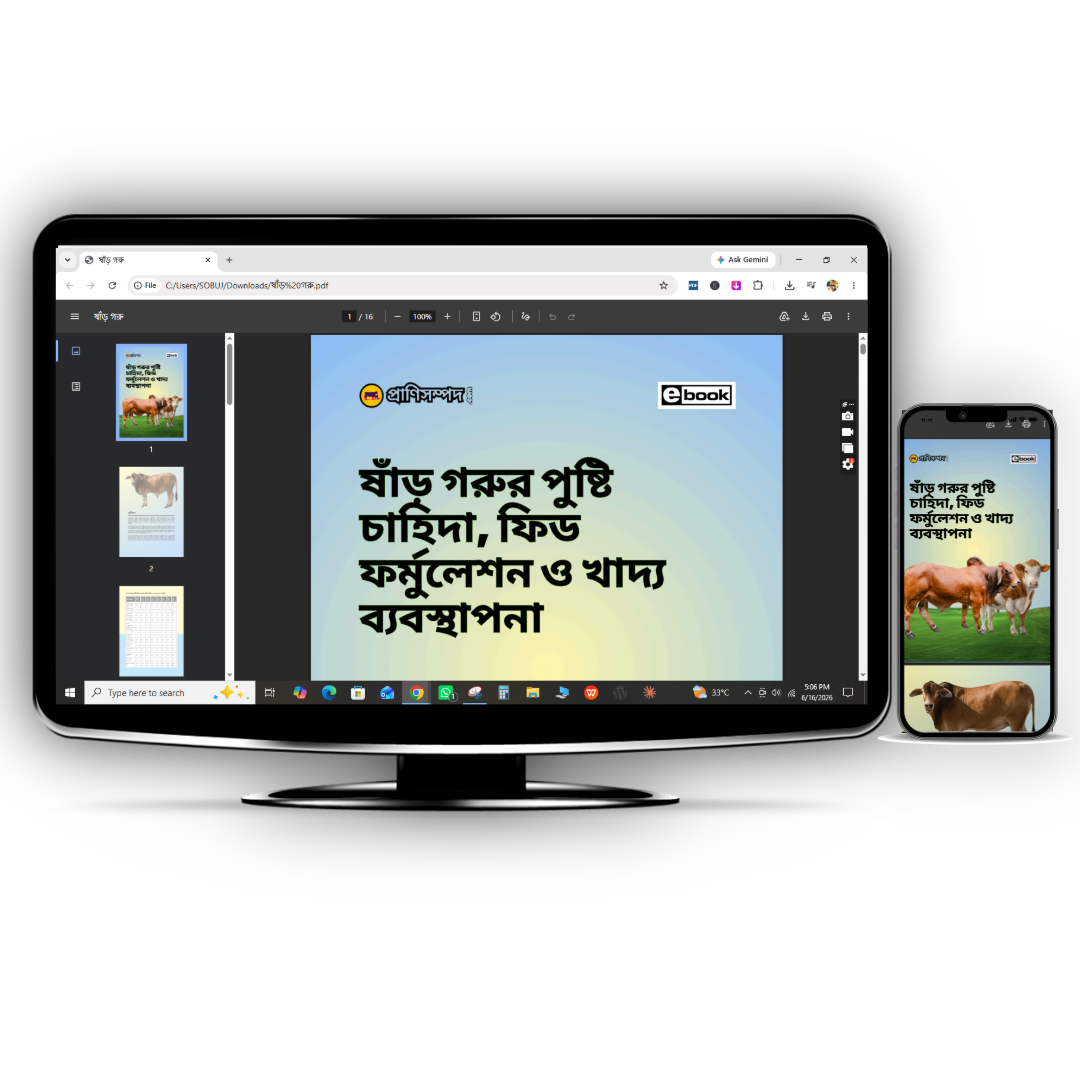 ষাঁড় গরুর পুষ্টি চাহিদা, ফিড ফর্মুলেশন ও খাদ্য ব্যবস্থাপনা (E-book)